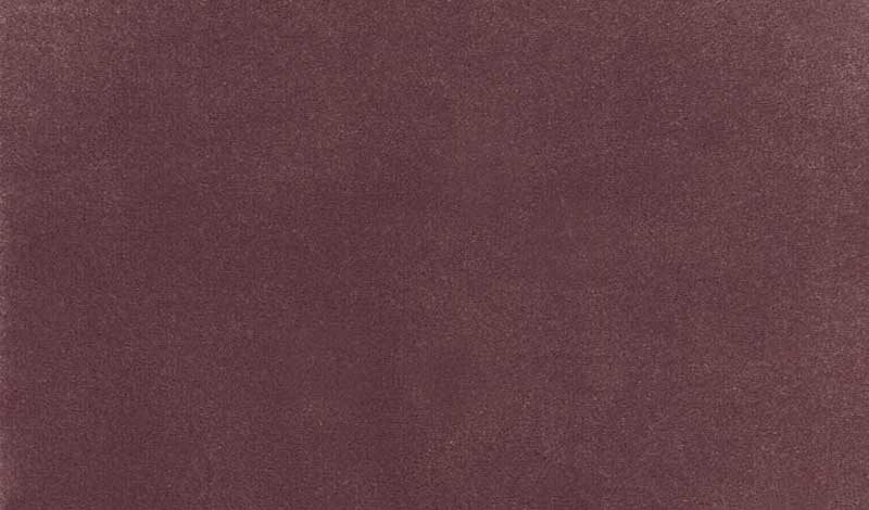 Plush Velvet - Lilac