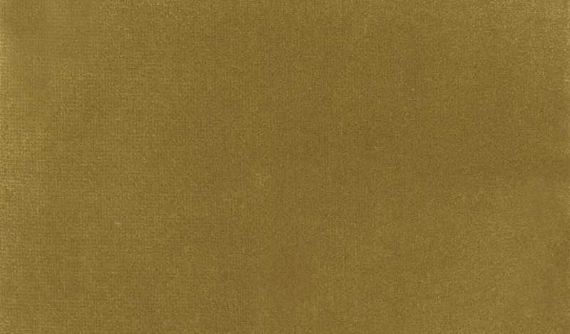 Plush Velvet - Mustard